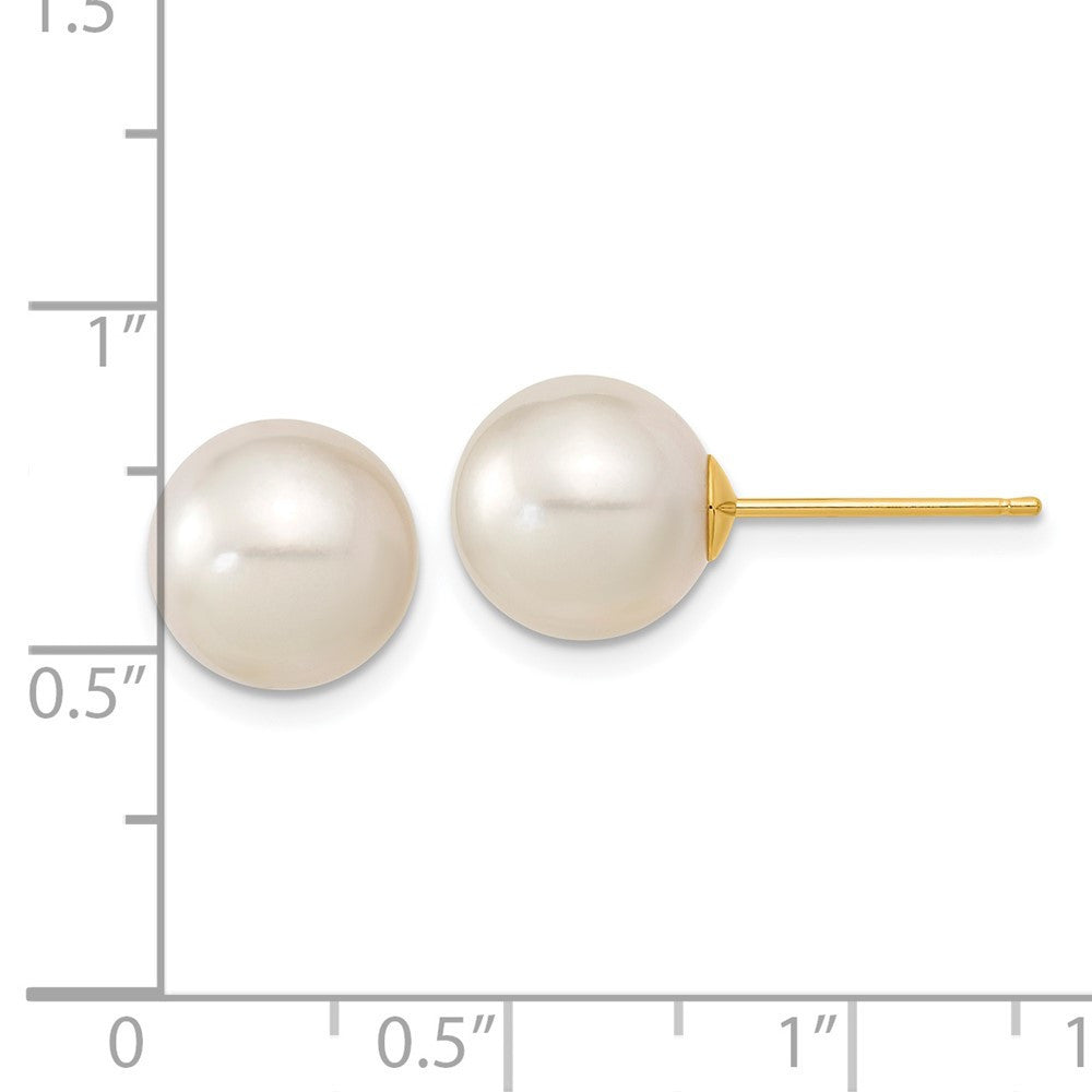 14k Yellow Gold 10mm White South Sea Saltwater Cultured Pearl Stud Earrings