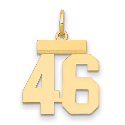 14k Yellow Gold Small Polished Number 46 Charm Pendant